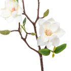 Magnólia ág 3v. krém M50cm 24db/#