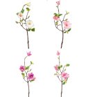 Magnólia ág 3v. mix M50cm 24db/#