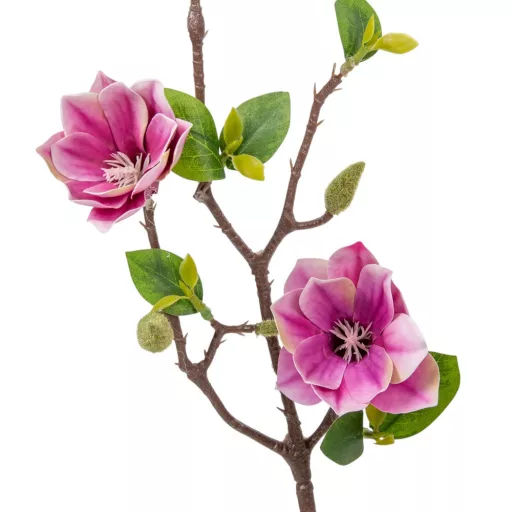 Magnólia ág 3v. mix M50cm 24db/#