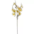 Magnólia ág krém M90cm 36db/#