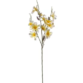 Magnólia ág krém M90cm 36db/#