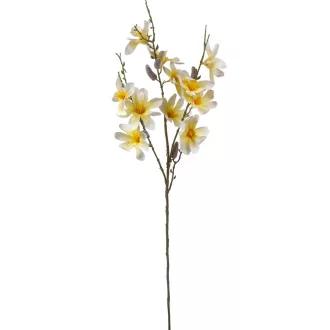 Magnólia ág krém M90cm 36db/#