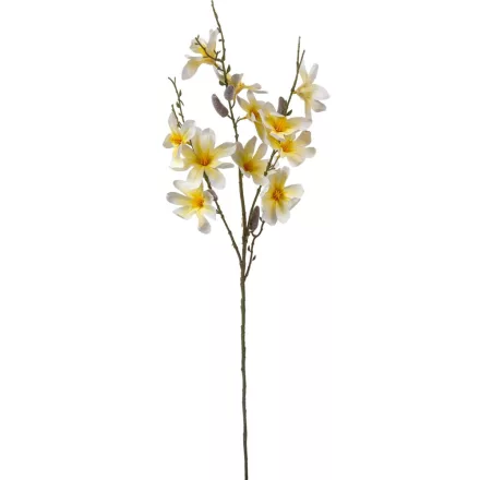 Magnólia ág krém M90cm 36db/#