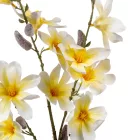 Magnólia ág krém M90cm 36db/#
