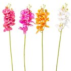 Orchidea ág gumi mix M60cm 60db/#