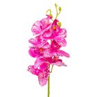 Orchidea ág gumi mix M60cm 60db/#