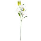 Liliom ág 3v. gumi krém M80cm 20db/#