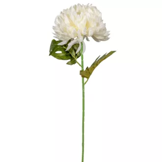 Krizantém szálas krém M53cm 96db/#