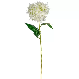 Hagymavirág szálas M56cm 36db/#