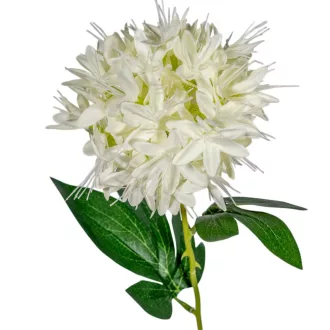 Hagymavirág szálas M56cm 36db/#