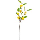 Citrom ág M90cm 48db/#