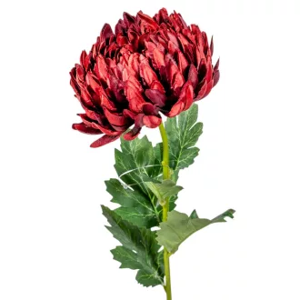 Krizantém szálas bordó M66cm 48db/#