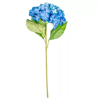 Hortenzia szálas kék M66cm 24db/#