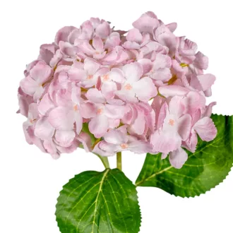 Hortenzia szálas mix M66cm 24db/#