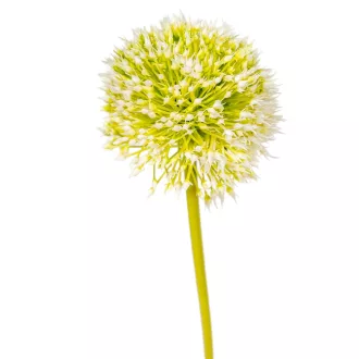 Hagymavirág szálas M49cm 72db/#