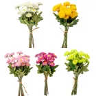 Szászorszép kötegelt 9 szál M32cm 100db/#