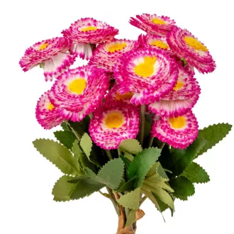 Szászorszép kötegelt 9 szál M32cm 100db/#