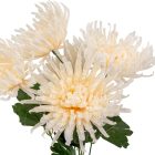 Krizantém csokor 5v. mix M42cm 144db/#