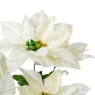 Mikulásvirág csokor 5v. krém M36cm