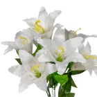 Liliom csokor 7v. krém-fehér M50cm 18db/#