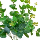 Eukaliptusz bokor 16ágú M48cm 30db/#