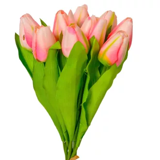 Tulipán köteg 9v. mix M40cm 24db/#