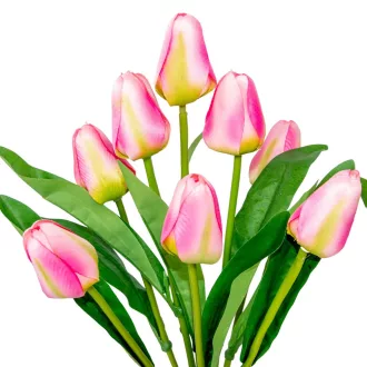 Tulipán csokor 9v. M37cm 24db/#