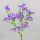 Rezgő csokor 5 ágú M27cm 48db/#