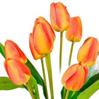 Tulipán csokor 9v. M44cm 24db/#