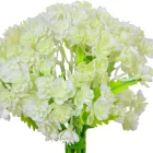 Gumivirágos csokor 9 ágú M25cm 18db/#