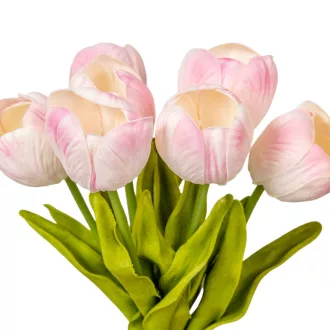 Tulipán köteg gumi 7v. mix M33cm 12db/#