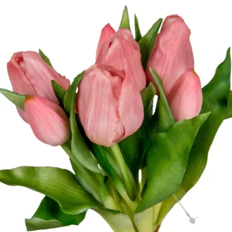 Tulipán köteg gumi mauve 7v. M29cm 12db/#