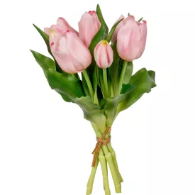 Tulipán köteg gumi pink 7v. M29cm 12db/#
