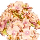 Hortenzia csokor 5v. M45cm 24db/#