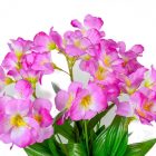 Asztomélia csokor 7v. M46cm 24db/#