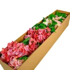 Hortenzia csokor gumi 5v. mix M46cm 24db/#