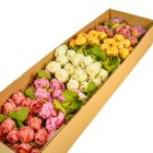 Rózsa csokor 6v. mix M32cm 24db/#