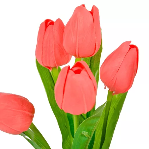 Tulipán csokor gumi 5v. M29cm 48db/#