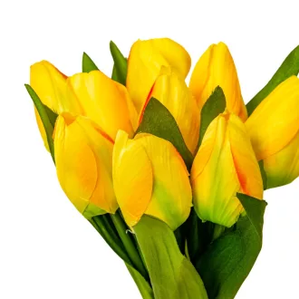 Tulipán köteg  9v. mix M40cm 24db/#