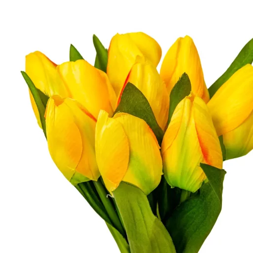 Tulipán köteg  9v. mix M40cm 24db/#