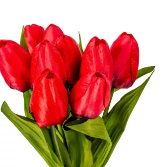 Tulipán köteg  9v. piros M40cm 24db/#
