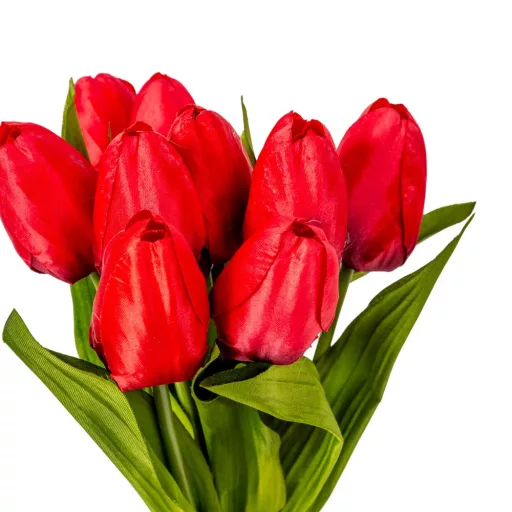 Tulipán köteg  9v. piros M40cm 24db/#