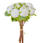 Kötegelt boglárka 10 szálas fehér M27cm 24db/#