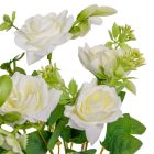 Rózsa csokor 6v. krém M30cm 36db/#