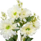 Gerbera csokor 9v. krém M42cm 24db/#