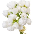 Boglárka köteg 27v. krém M33cm 24db/#