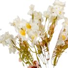 Virágos ág 5v. krém M38cm 36db/#