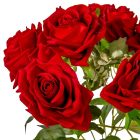 Rózsa csokor bársony 7v. piros M42cm 24db/#