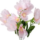 Anemónia csokor mix 15v. M39cm 60db/#