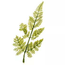 Páfrány levél gumi 23cm 48db/csom